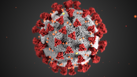 The second wave of the Covid 19 virus, is spreading at an alarming rate in the remote borders districts with many villages being declared as containment zones at a rapid pace in Uttarakhand.