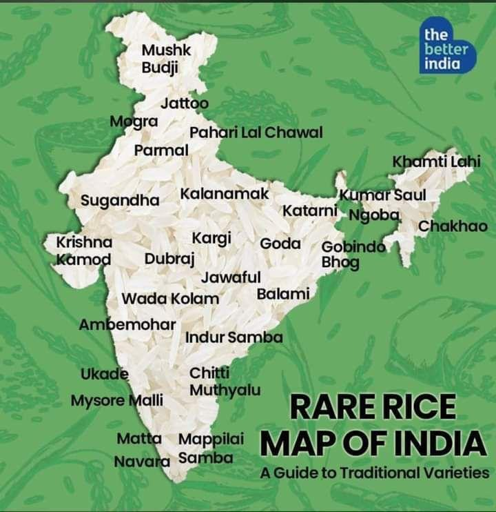 Rare Rice Map of India