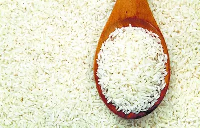 Puducherry CM Announces Free Rice, Sugar Distribution for Diwali