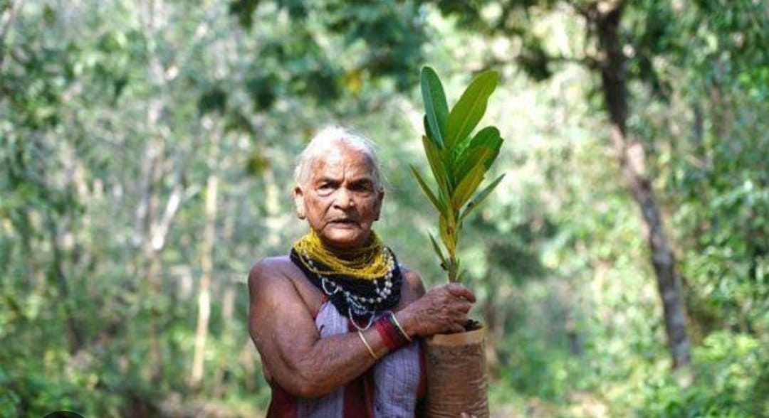 Legendary Tree Planter and Padma Awardee Tulsi Gowda Passes Away at 86