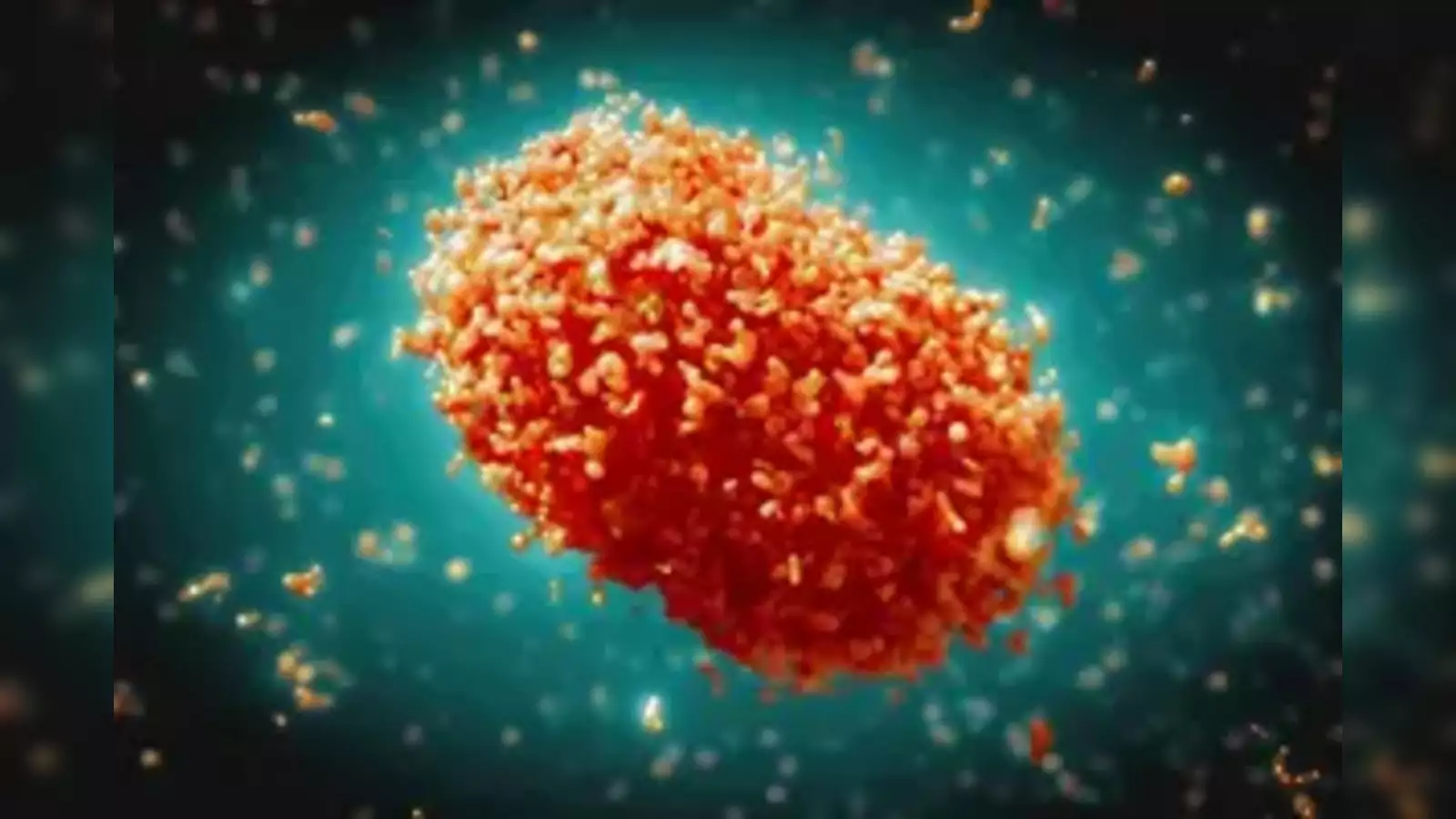 Kejriwal Urges Swift Action on HMPV Cases; Centre Monitors Situation