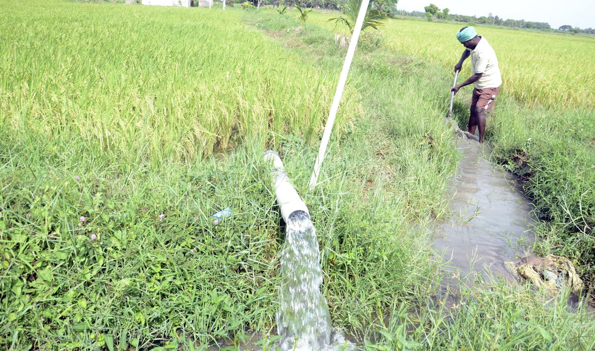 Irrigation Ignored, Farmers Betrayed: Tamil Nadu Govt Faces Fire Over Collapsing Water Sector