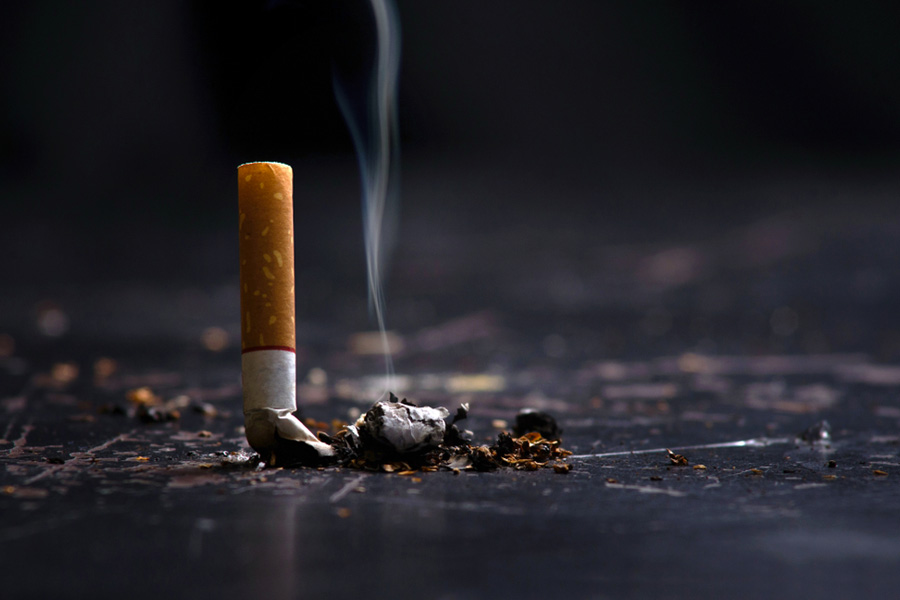 Education Ministry Launches Nationwide Drive for Tobacco-Free Educational Institutions