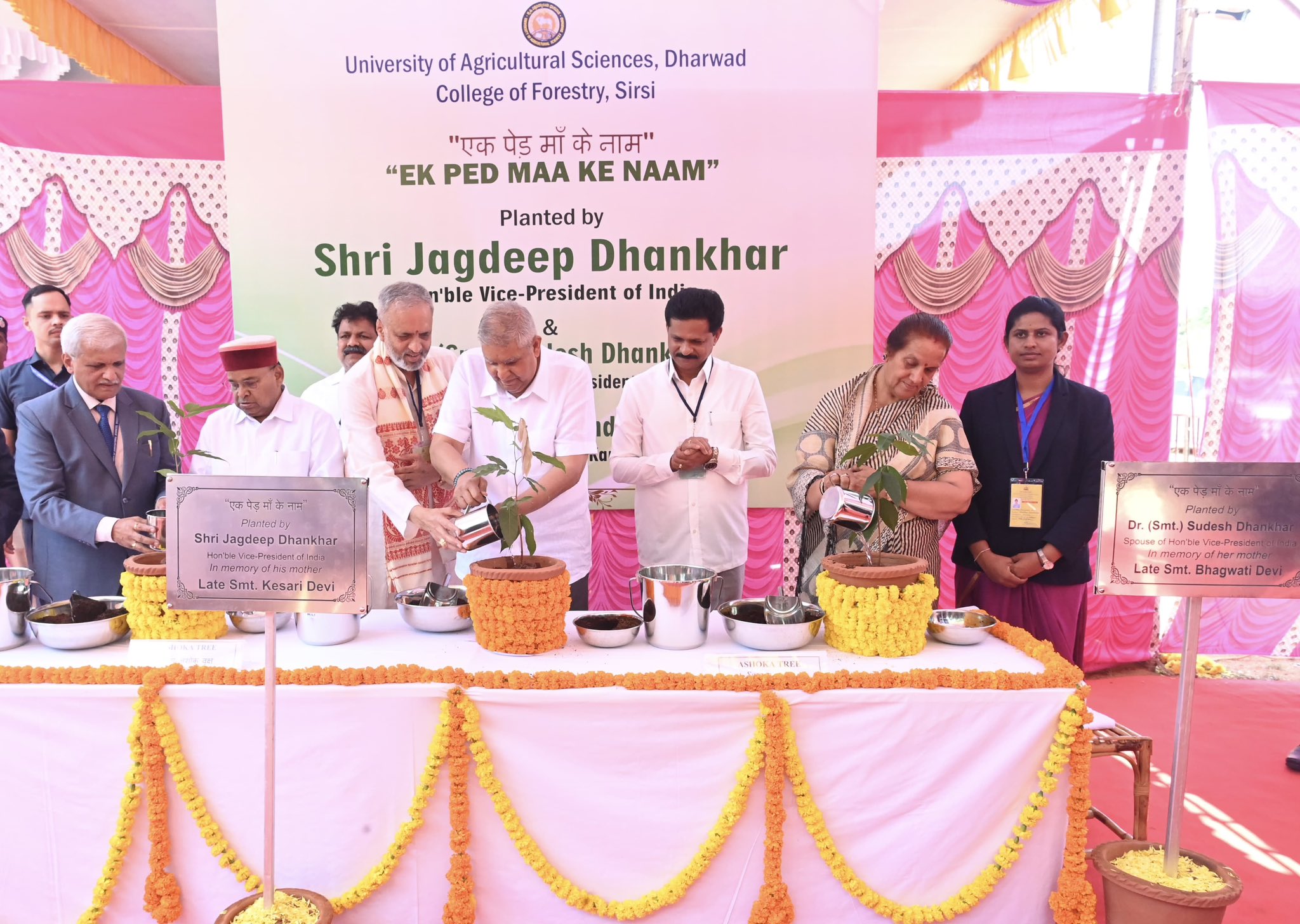 Forests Are Our Lungs, We Are Their Trustees, Not Consumers: VP Dhankhar