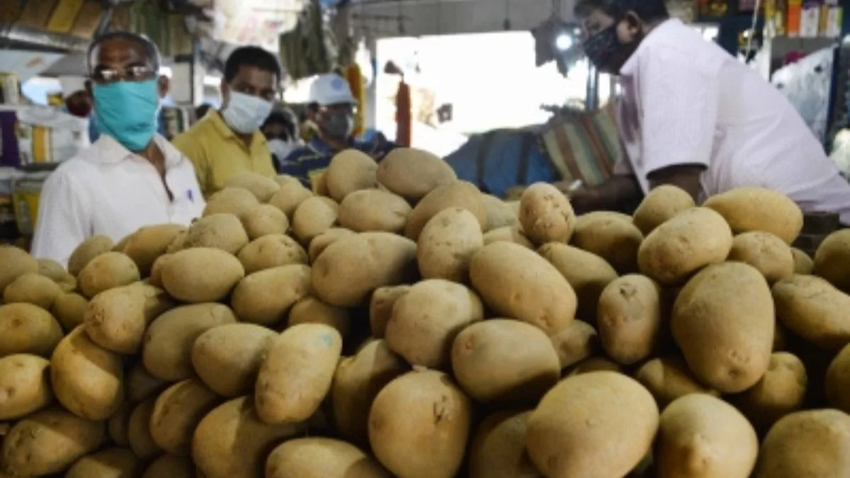 Cabinet Approves International Potato Centre's South Asia Regional Hub in Agra