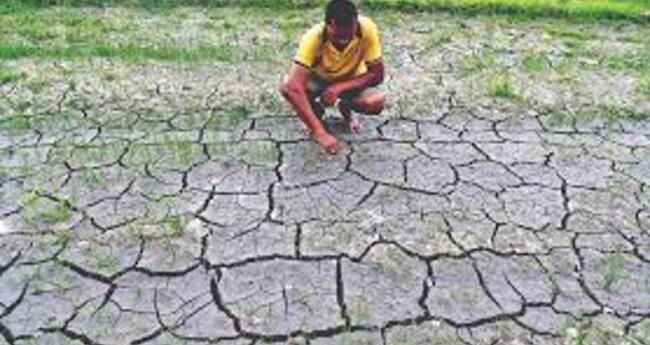 Assam Faces Severe Drought as 27 Districts Report Rainfall Deficit
