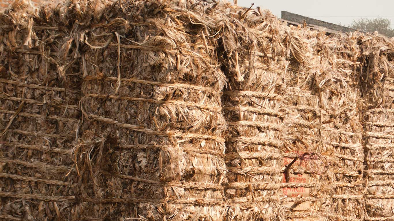 India Bans Jute Imports from Bangladesh Via Land Routes