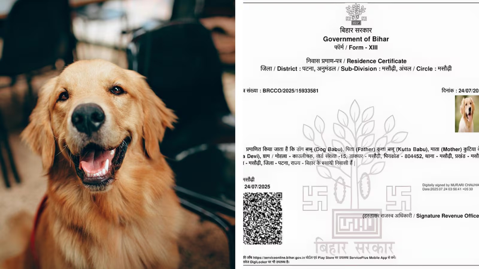 Bihar Govt Suspends Official Over 'Dog Babu' Certificate