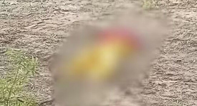 Post-Mortem Report Rules Out Rape and Murder in Bhiwani Case