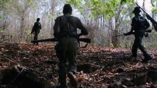 71 Maoists Surrender in Chhattisgarh, 30 Carry Bounties
