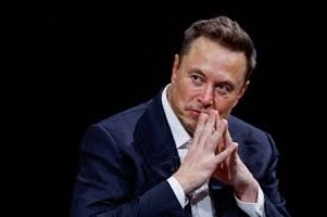Elon Musk Migration and Demographic Threat : A Valid Debate