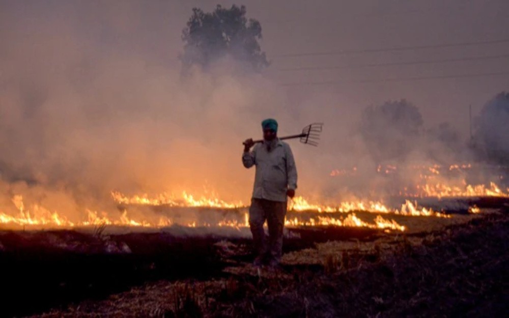 Supreme Court Pulls Up Punjab, Haryana Over Stubble Burning